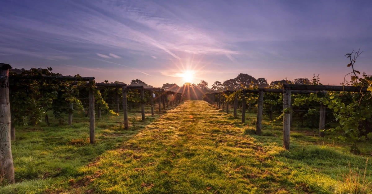 Places to Stay Haywards Heath Visitors Love, a Local Guide to Bolney